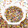 Mixed Electroplate and Non-electroplating Glass Seed Beads GLAA-SZC0007-02C-1