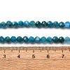 Natural Apatite Beads Strands G-A276-C08-4mm-03-5