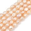 Natural Cultured Freshwater Pearl Beads Strands PEAR-P064-20L-02B-2