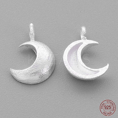 Sterling Silver Charms X-STER-G011-28MS-1