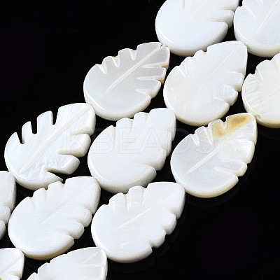 Natural Freshwater Shell Beads Strands SHEL-Q024-004-1