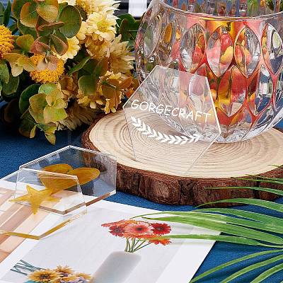 Acrylic Place Cards TACR-GF0001-02-1