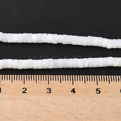 Natural Freshwater Shell Beads Strands SSHEL-C013-04B-1
