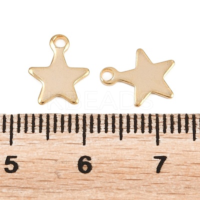 201 Stainless Steel Charms STAS-F039-04A-G-1