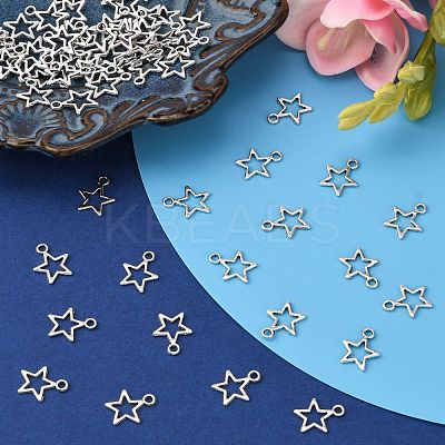 Tibetan Style Alloy Charms LF10651Y-NF-1