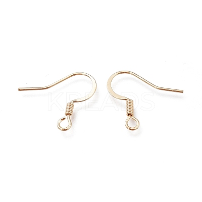 Brass Earring Hooks KK-H102-01G-1