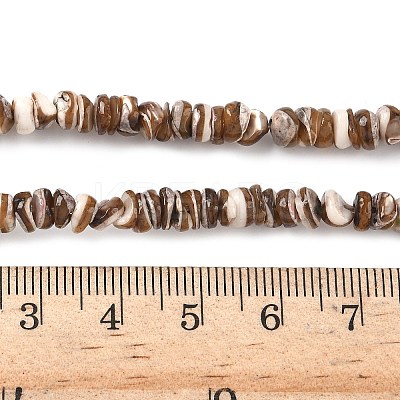 Natural Black Lip Shell Beads Strands SSHEL-F304-02A-1