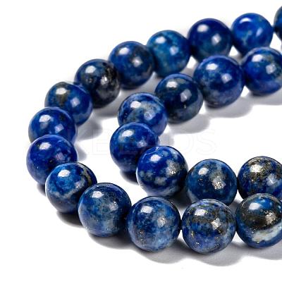 Natural Lapis Lazuli Bead Strands X-G-G953-01-8mm-1