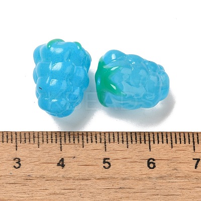 Handmade Lampwork Beads Strands LAMP-G162-05C-1