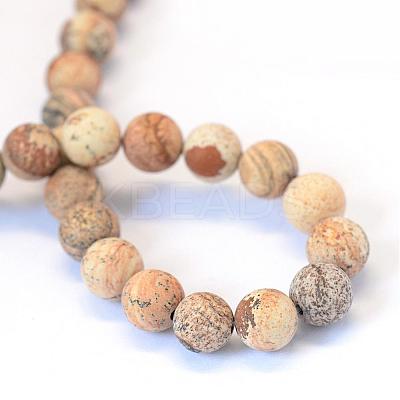 Frosted Natural Picture Jasper Round Bead Strands G-E334-4mm-26-1