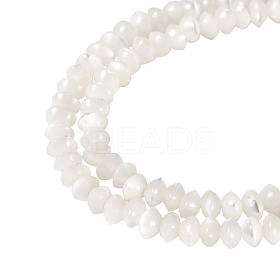 1 Strand Natural Trochus Shell Rondelle Beads Strands SSHEL-TA0001-16A-1