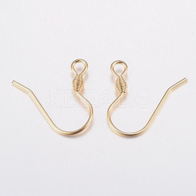 304 Stainless Steel Earring Hooks STAS-G179-45G-1
