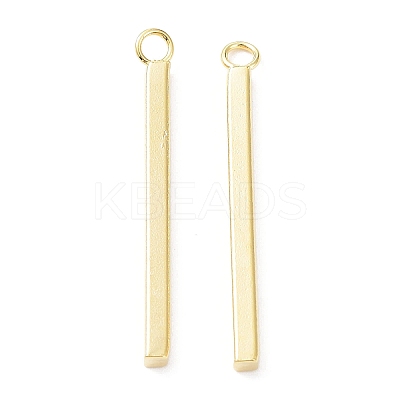 304 Stainless Steel Pendants STAS-P327-09C-G-1