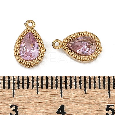 Ion Plating(IP) 304 Stainless Steel Micro Pave Cubic Zirconia Charms STAS-K256-20G-06-1