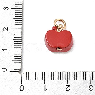 Alloy with Enamel Charms AL-CBA7219-01B-1