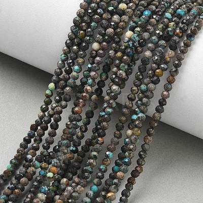 Natural African Turquoise(Jasper) Beads Strands G-RM241221-B9-1