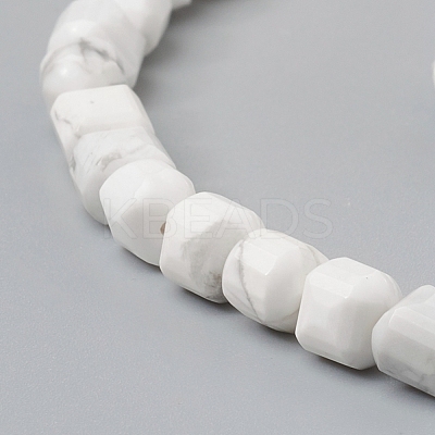 Natural Howlite Beads Strands G-I270-09-1