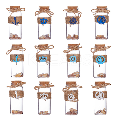 12Pcs Natural Sea Shell Conch Bead in Transparent Glass Bottle Display Decorations AJEW-AB00165-1