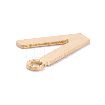 201 Stainless Steel Charms LS-STAS-C021-06G-V-1
