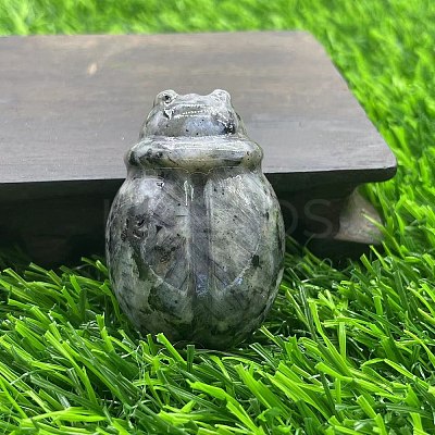 Natural Larvikite Carved Healing Ladybird Figurines PW-WG44211-21-1