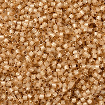MIYUKI Delica Beads X-SEED-J020-DB2171-1