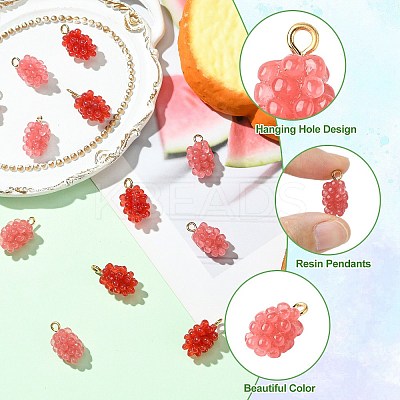 12Pcs 2 Colors Resin Pendants RESI-CJ0004-71-1