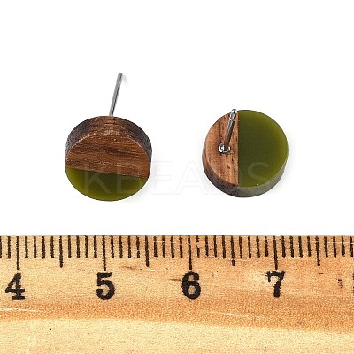 Opaque Resin & Walnut Wood Stud Earrings X-EJEW-N017-008-B08-1