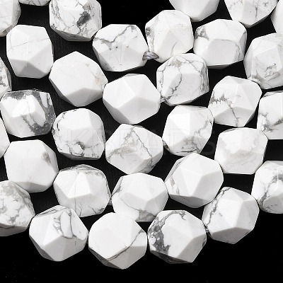 Natural Howlite Beads Strands G-Z119-A43-02-1