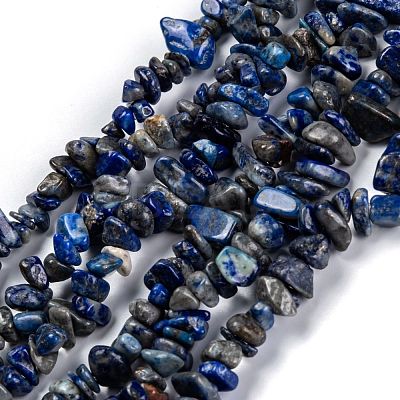 Natural Lapis Lazuli Beads Strands G-G011-05B-1