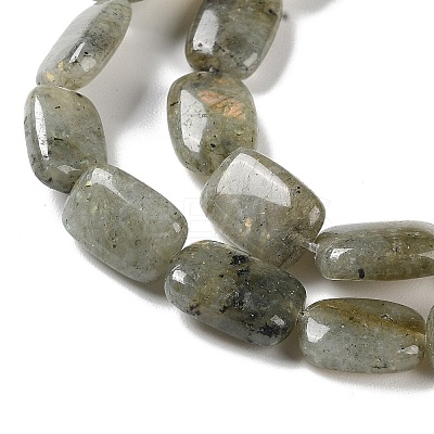 Natural Labradorite Beads Strands G-K357-D16-01-1