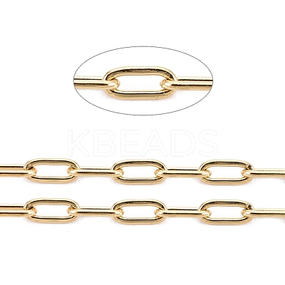 3.28 Feet Ion Plating(IP) 304 Stainless Steel Paperclip Chains X-CHS-F010-01A-G-01-1