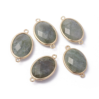 Golden Tone Brass Natural Labradorite Links connectors X-G-F339-A15-1