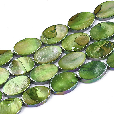Freshwater Shell Beads Strands SSHEL-T007-19C-1