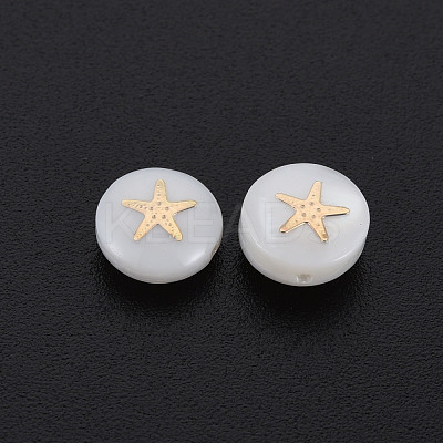 Natural Freshwater Shell Beads SHEL-S278-063-1