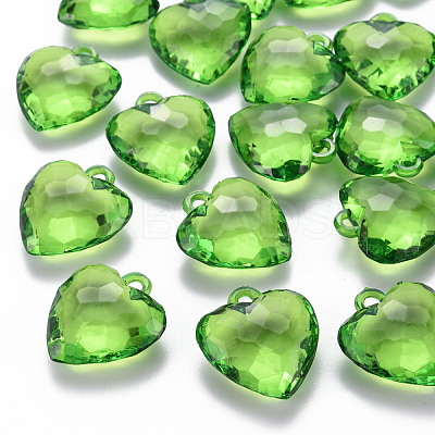 Transparent Acrylic Pendants TACR-T024-03B-925-1