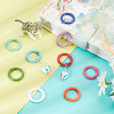 24Pcs 12 Colors Spray Painted Eco-Friendly Alloy Spring Gate Rings FIND-PH0003-35-1