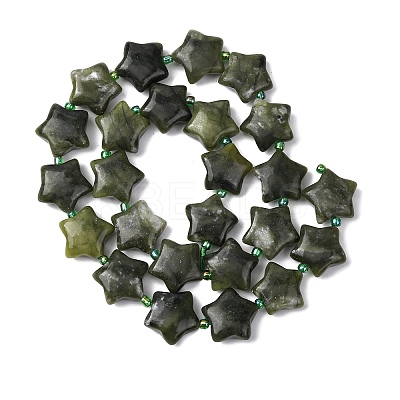 Natural Green Jade Beads Strands G-K359-E06-1