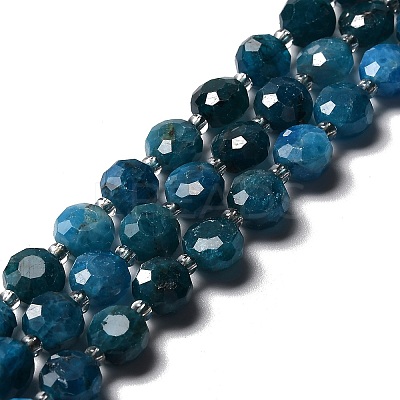Natural Apatite Beads Strands G-B153-A05-1