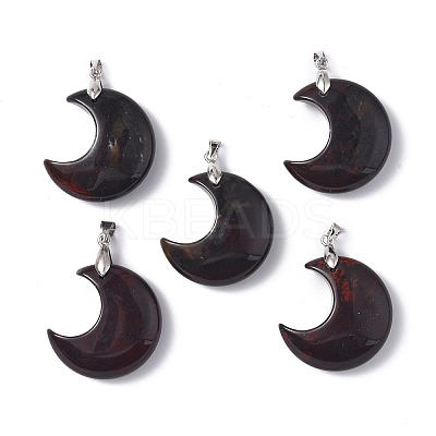 Natural Brecciated Jasper Pendants G-Z022-04E-1