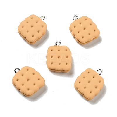 Opaque Resin Pendants LS-X-RESI-G043-D02-A-1