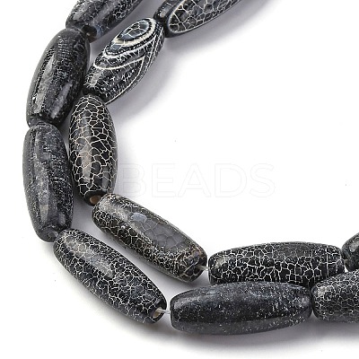 Natural Weathered Agate Beads Strands G-P570-C01-01-1
