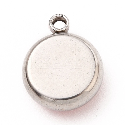 304 Stainless Steel Charms STAS-I165-04A-P-01-1
