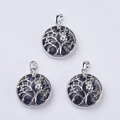 Natural Sodalite Pendants G-K234-E01-1