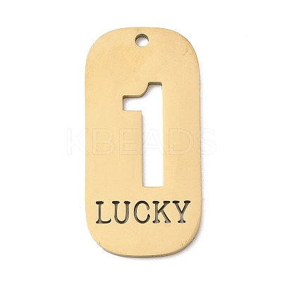 304 Stainless Steel Pendants STAS-D200-02B-G-1