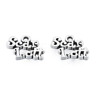 Tibetan Style Alloy Charms TIBEP-N012-05-1