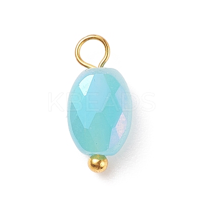 Electroplate Glass Pendants PALLOY-JF01541-01-1