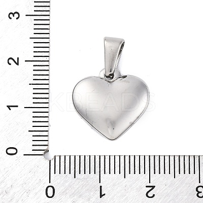304 Stainless Steel Pendants STAS-P278-01N-P-1-1