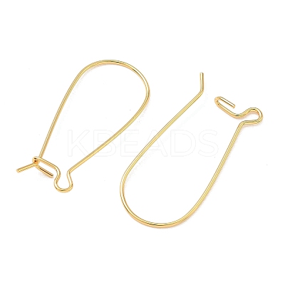 SHEGRACE Brass Kidney Ear Wire XGR0004G-43G-1