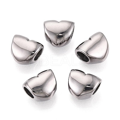 304 Stainless Steel European Style Large Hole Beads STAS-T072-141P-1