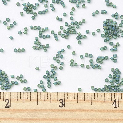 MIYUKI Delica Beads X-SEED-J020-DB0859-1
